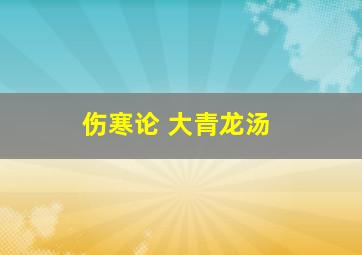 伤寒论 大青龙汤